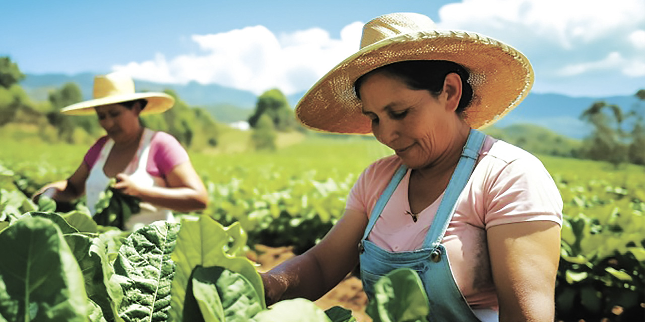 Mujeres durante un periodo de cosecha en Santa Cruz. | Foto: BDP