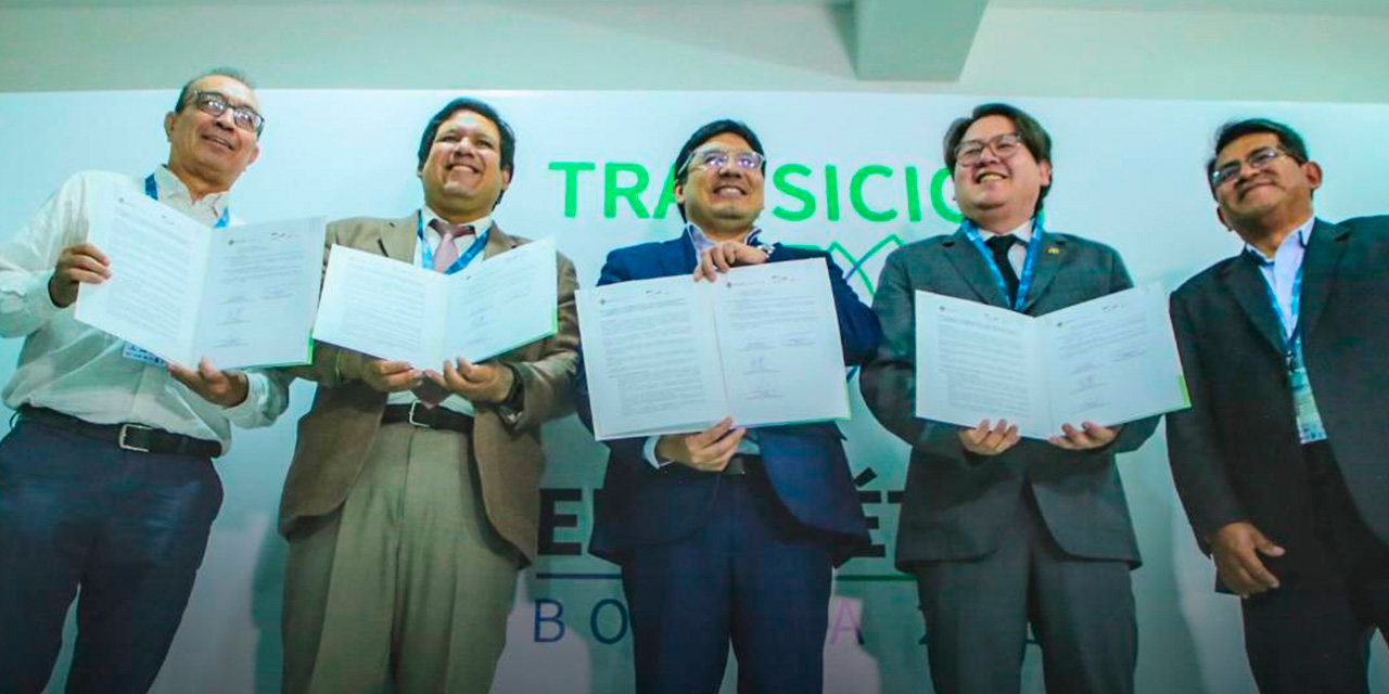 El ministro de Hidrocarburos, Franklin Molina, junto a representantes de la GIZ de Alemania. Foto: MHE