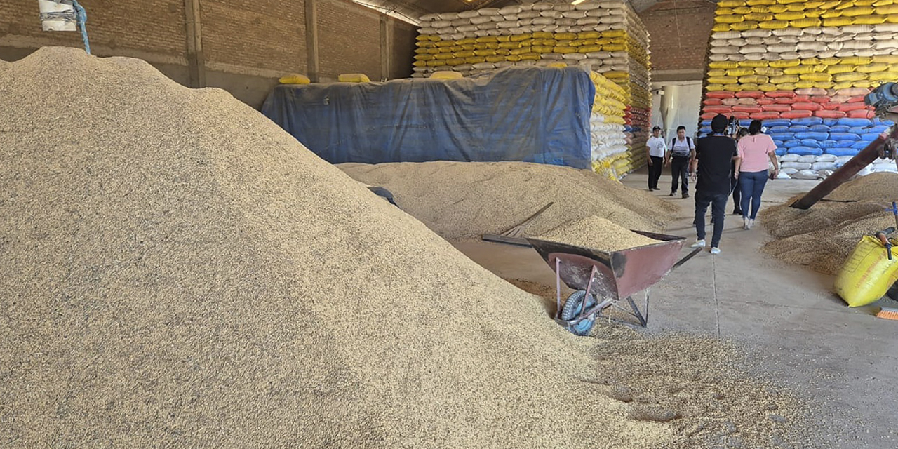 Grandes cantidades de arroz almacenadas en Montero, Santa Cruz. 