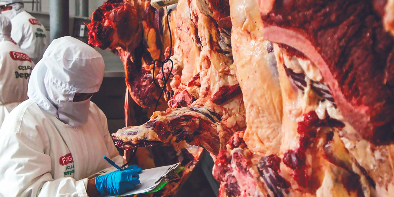 La carne bovina boliviana debe pasar controles   para alcanzar los estándares internacionales de exportación. Foto: Archivo