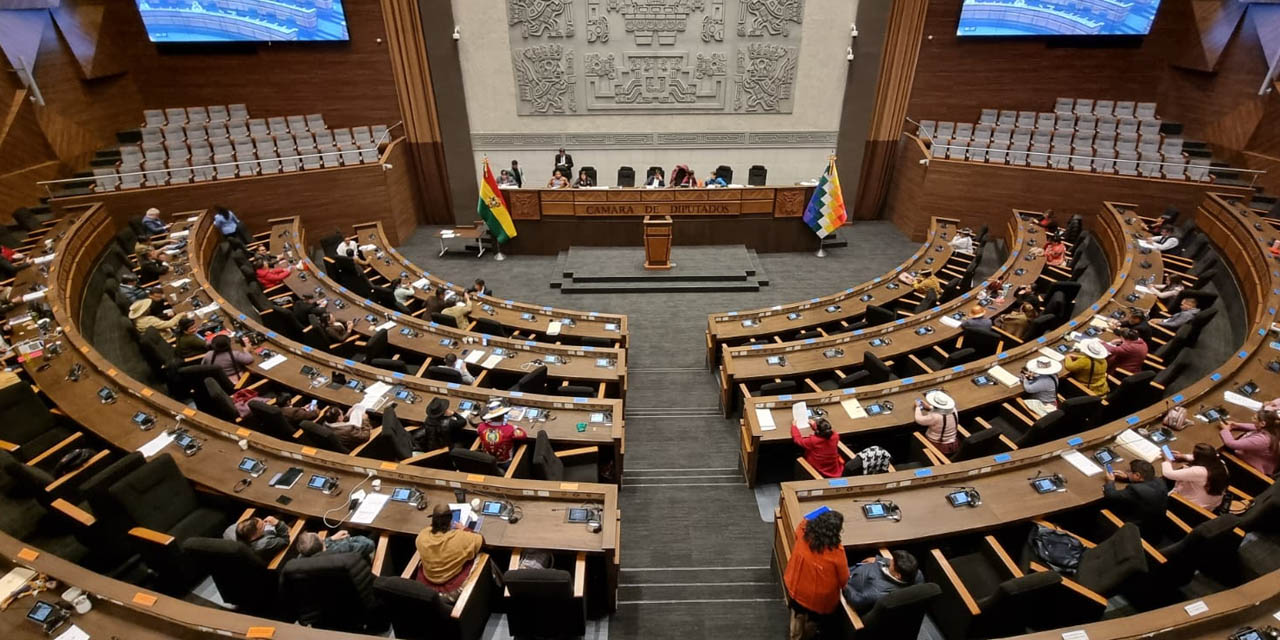 La sesión de la Cámara de Diputados. Foto: CD