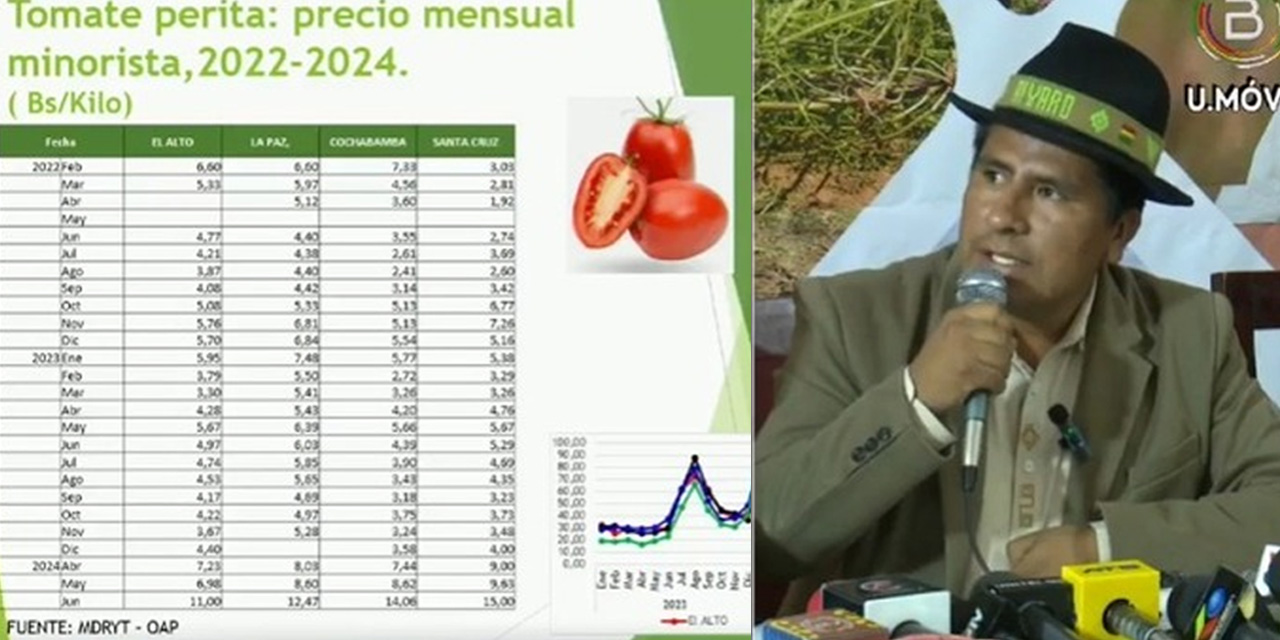 El viceministro de Desarrollo Agropecuario, Álvaro Mollinedo, explica comportamiento del precio del tomate. Captura de imagen de Bolivia Tv