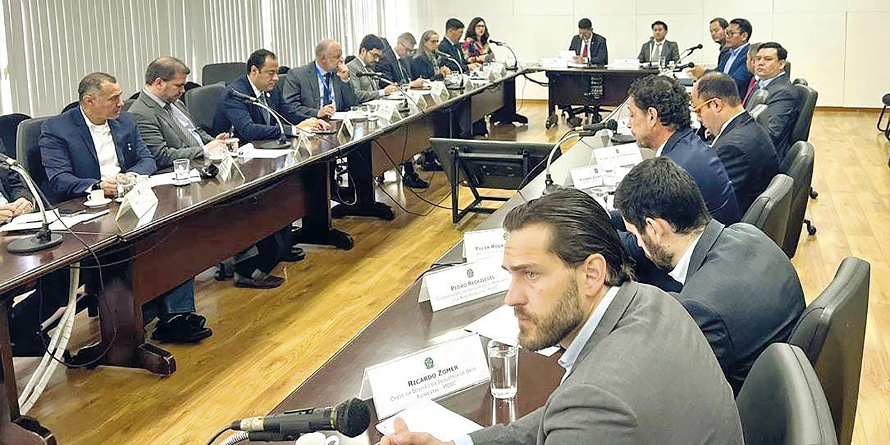 La reunión desarrollada en la ciudad de Brasilia, Brasil. | Foto: YPFB