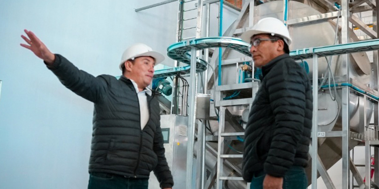 El ministro Néstor Huanca (der.) durante la inspección a la planta. Foto: MDPyEP