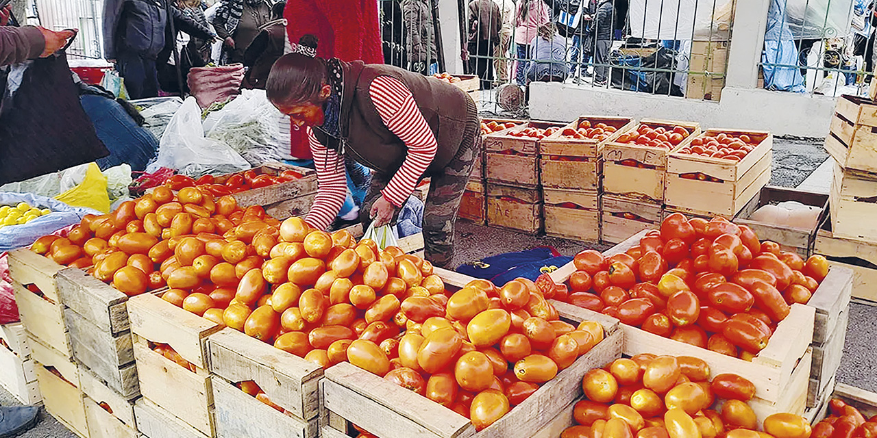 Los mercados registran un incremento considerable en el precio del tomate.  | Foto: Archivo