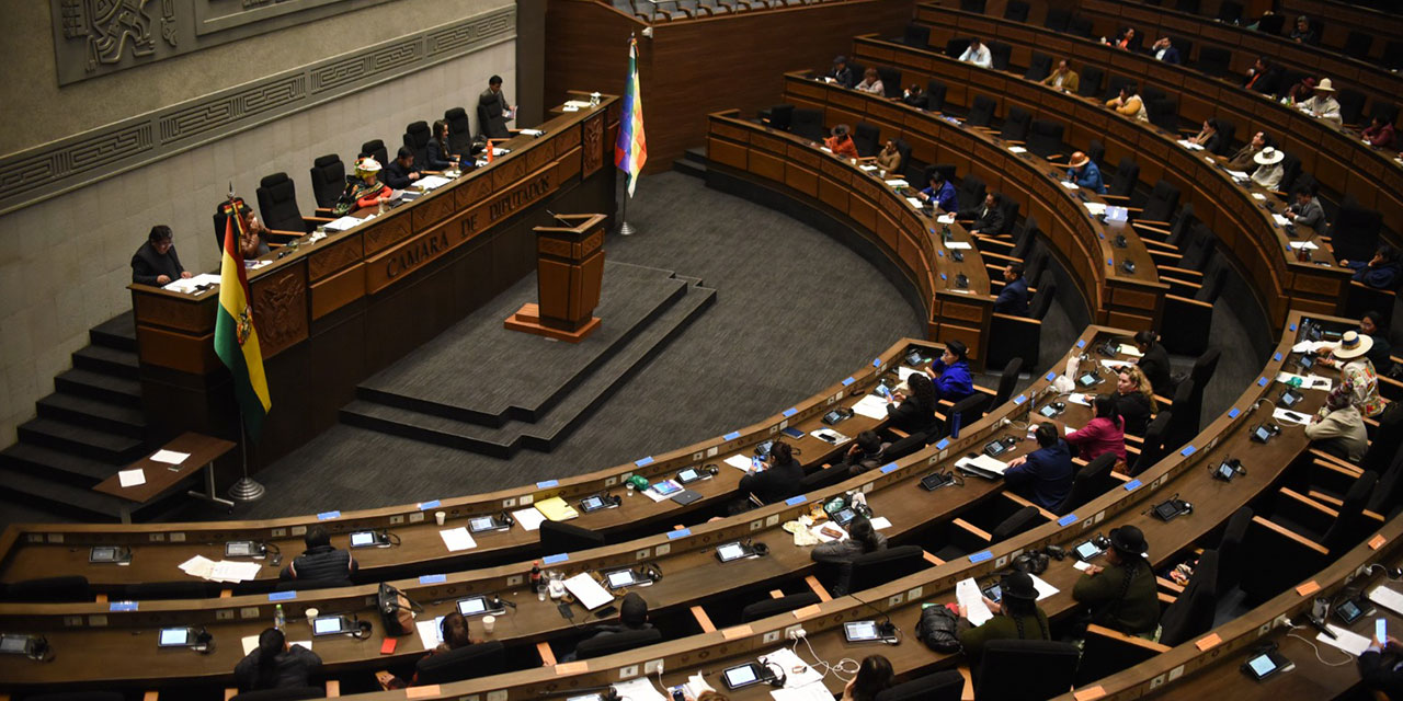 Una sesión de la Cámara de Diputados. Foto: Gustavo Ticona