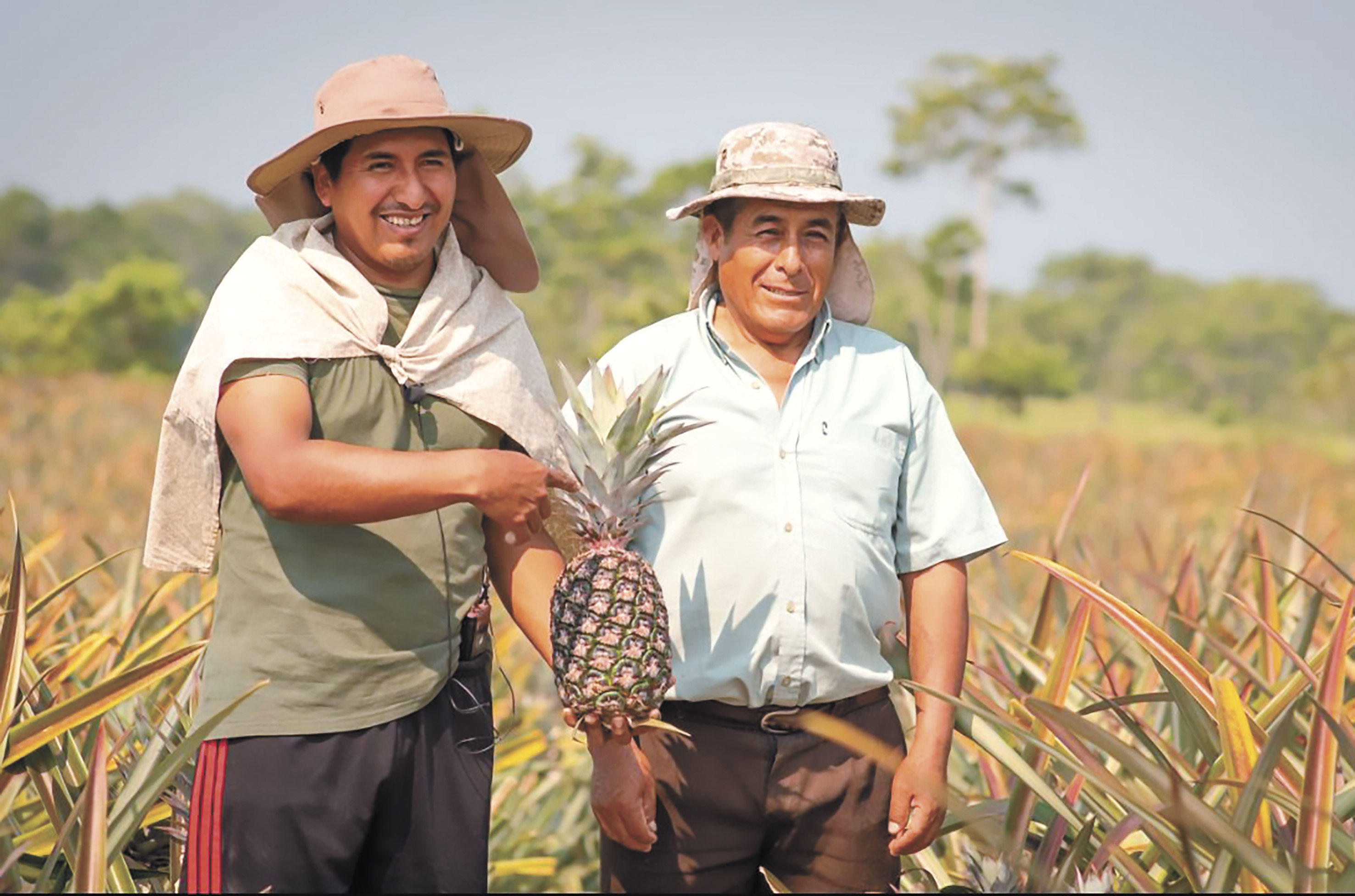 Seguridad alimentaria 2 1324