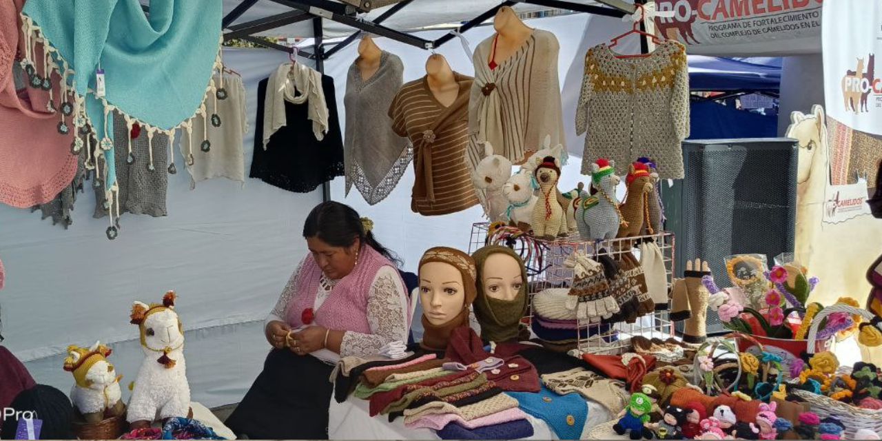 En la feria de El Alto, productores y artesanos expusieron sus productos en instalaciones de la UPEA. Foto: Luis Miguel Ticona