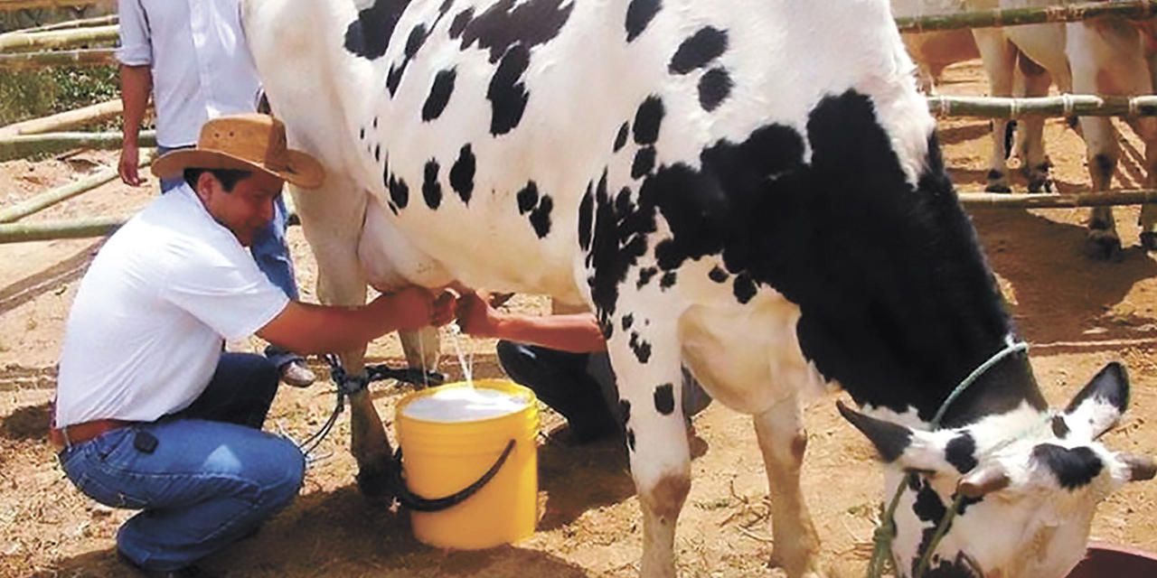 Los productores de leche reciben los beneficios de la subvención a través de la  venta de los alimentos para el ganado. Foto: Archivo