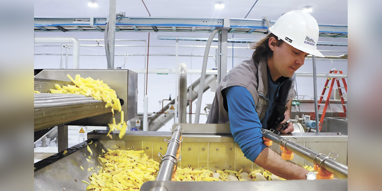 Uno de los productos derivados de esta planta es la papa prefrita.  | Foto: Emapa