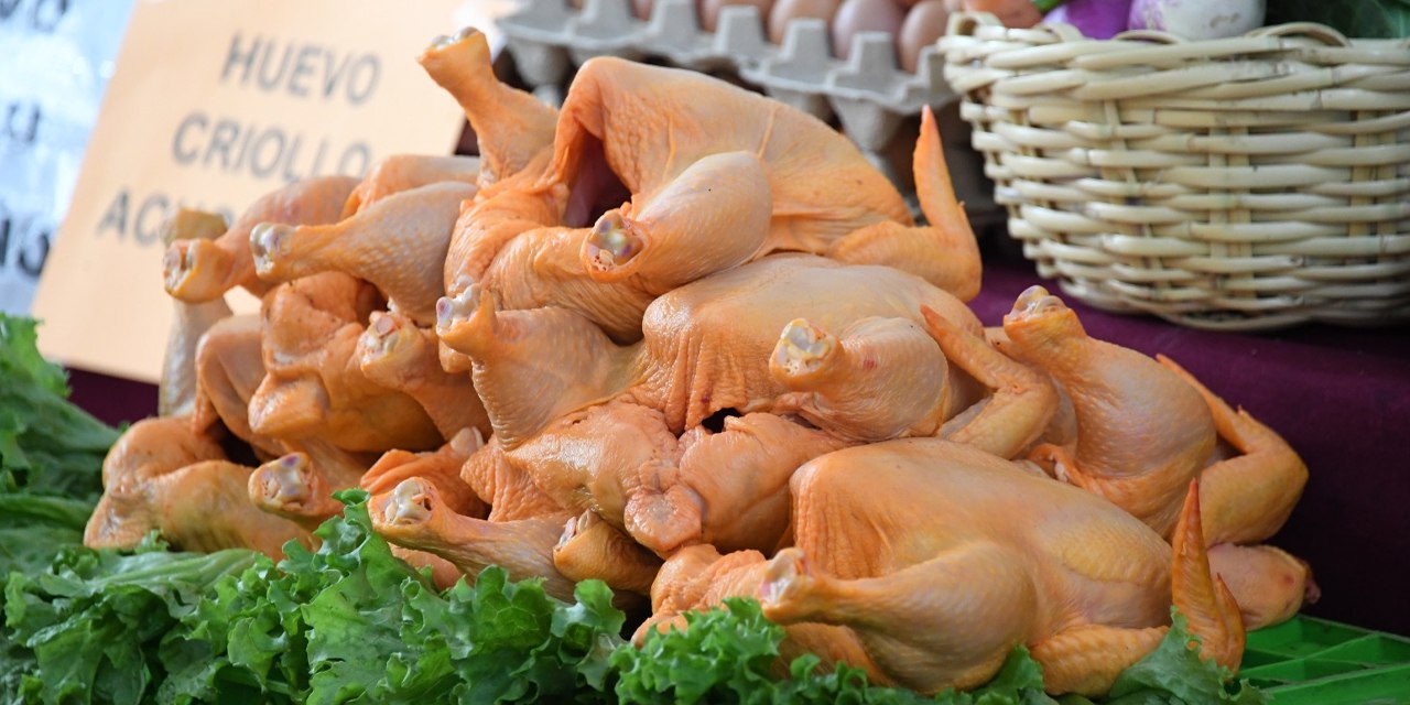 “No existe incremento”: el precio del pollo es más bajo en comparación con el invierno de 2023