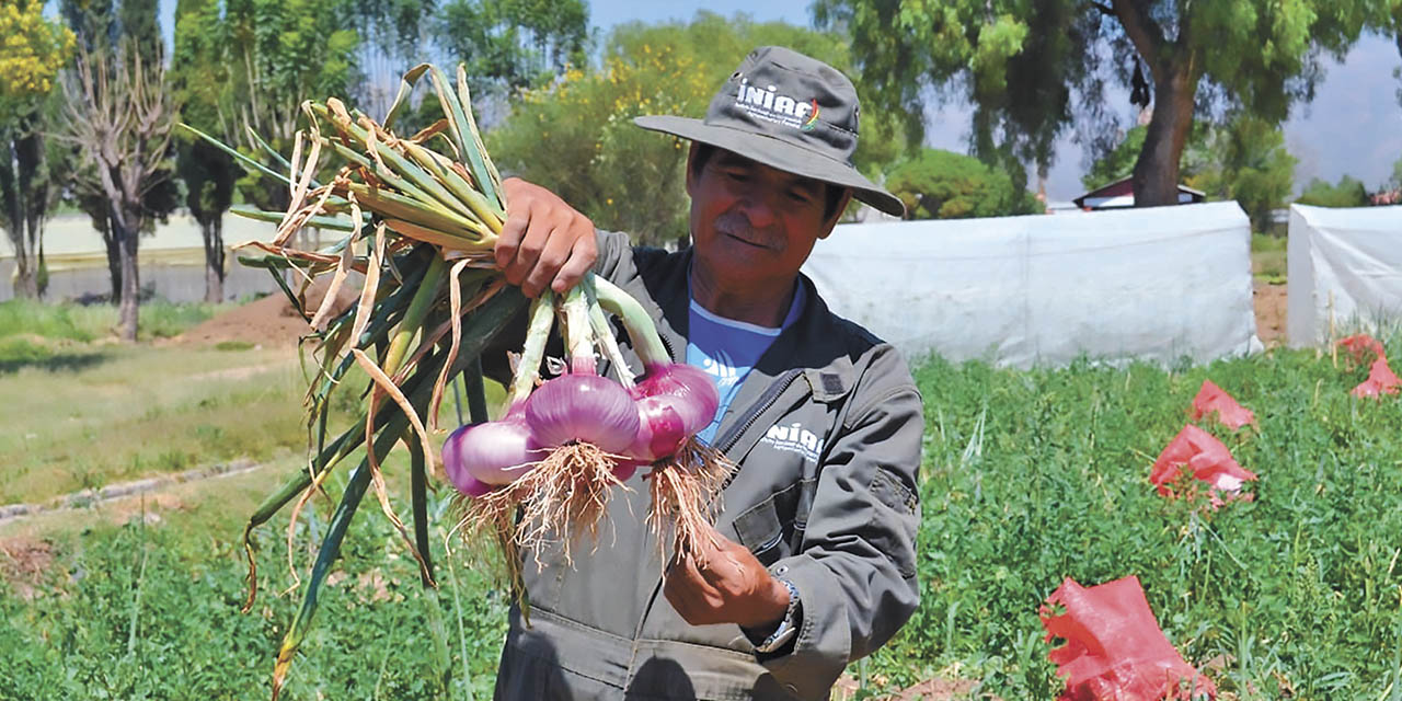 Los esfuerzos del Gobierno benefician a los productores de alimentos.