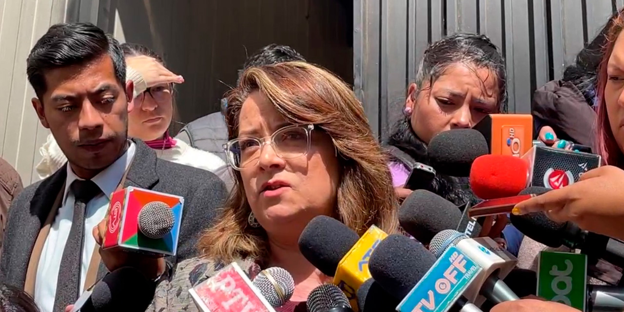 La asesora del Ministerio de Hidrocarburos y Energías, Rocío Molina, en contacto con la prensa loca. Imagen: Captura RRSS.