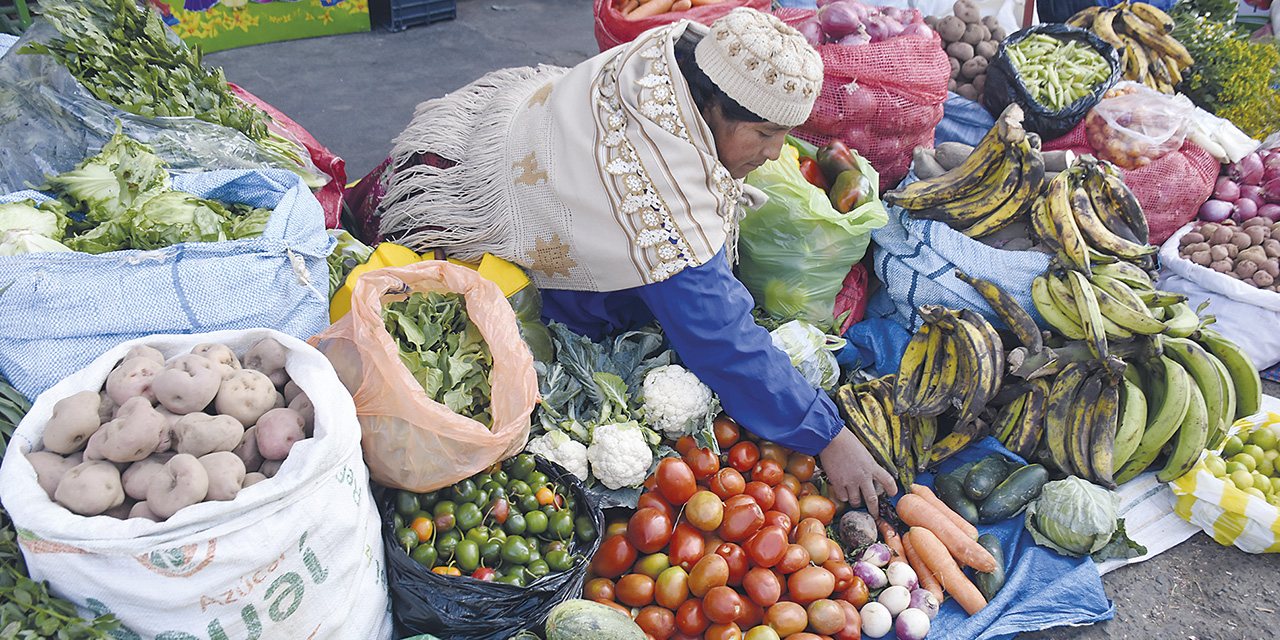 La producción de alimentos es fomentada a través de programas y proyectos del Gobierno nacional. | Foto: Archivo