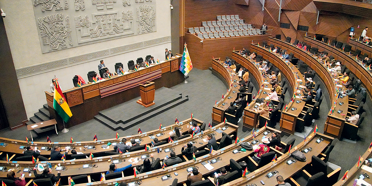 La Asamblea Legislativa Plurinacional debería aprobar los financiamientos a la brevedad. Foto: Jorge Mamani