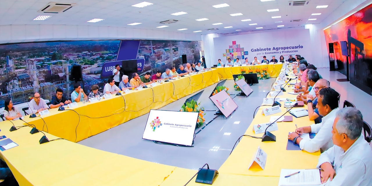  La reunión de sectores productivos privados de Santa Cruz y autoridades del Ejecutivo, en el Gabinete Agropecuario. Foto: Presidencia