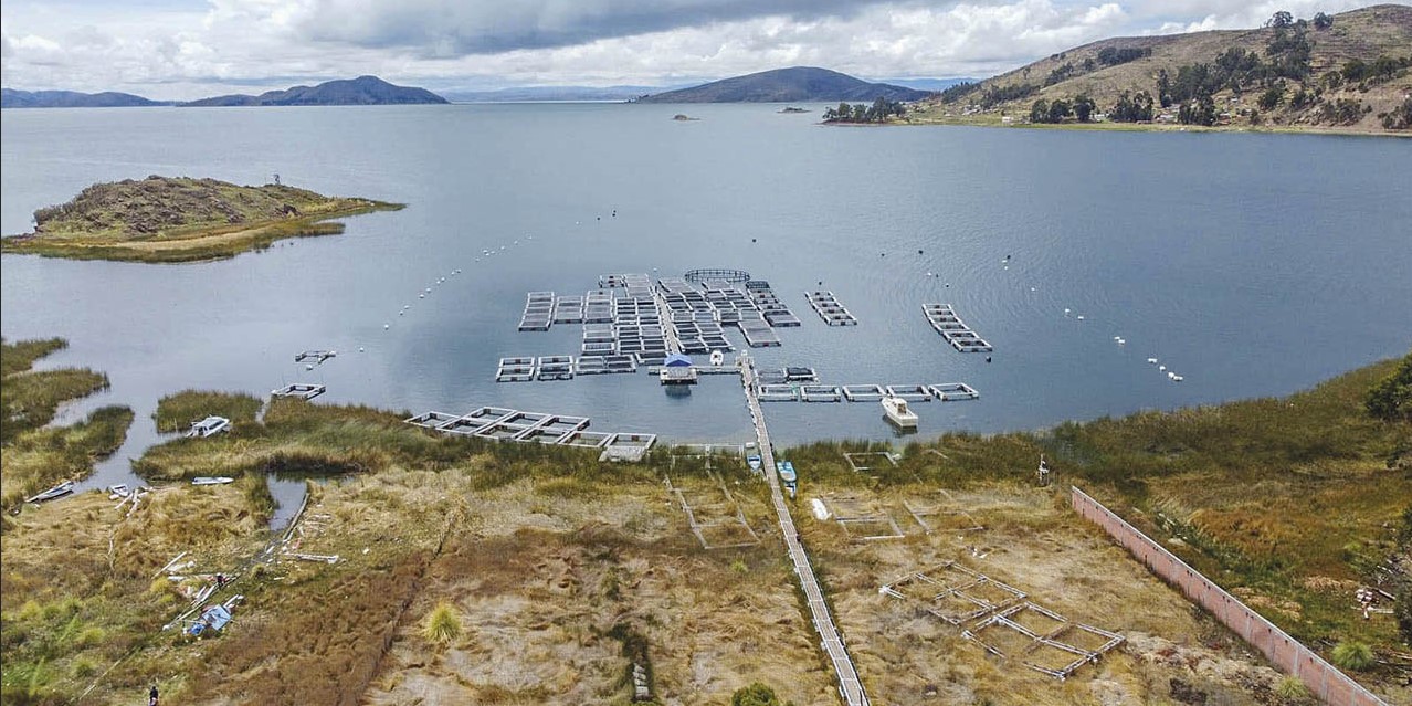 Planta Piscícola en el Lago Titicaca en el municipio de San Pedro de Tiquina. Archivo