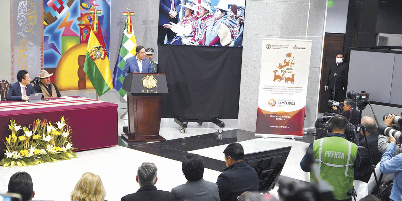 El presidente Luis Arce durante la inauguración del Encuentro Regional de Camélidos “Nutriendo la vida, preservando el futuro”, en La Paz.  | Foto: Jorge Mamani