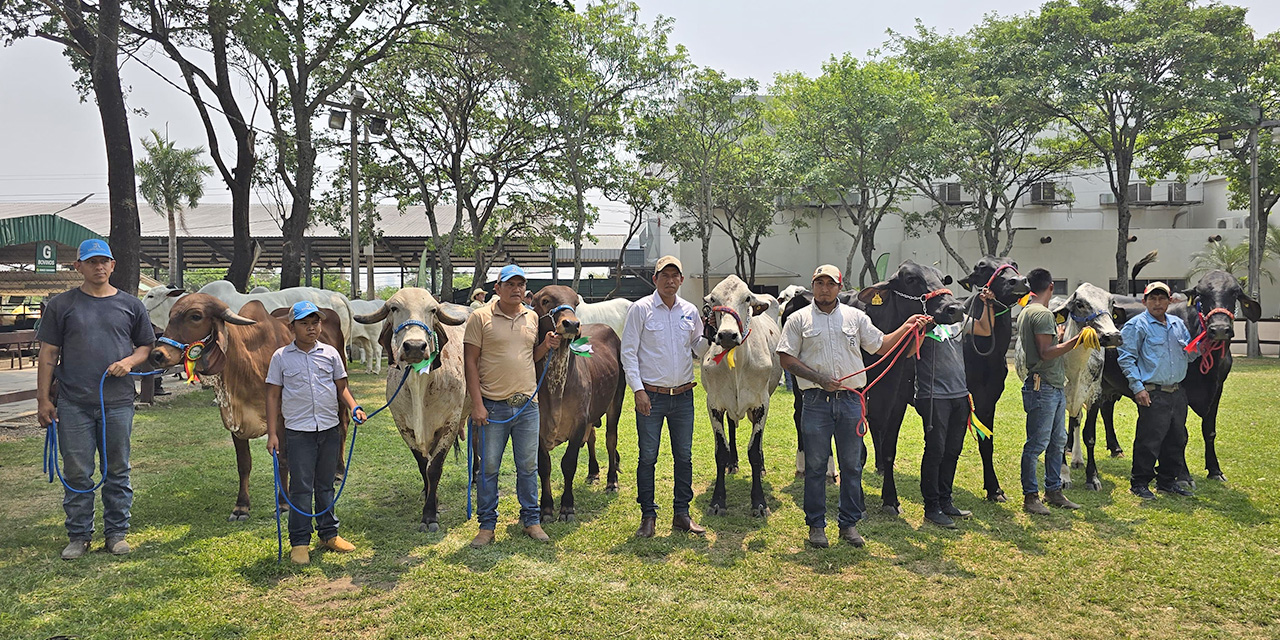 Expocruz 2024 y Asocebú presentan a los grandes campeones de las razas cebuinas