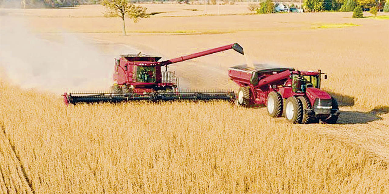 Actividad de cosecha agrícola con maquinaria pesada.