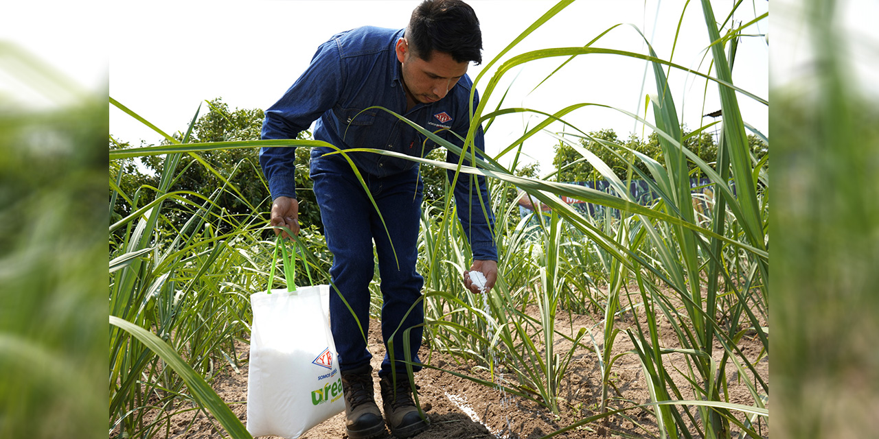 El departamento de Santa Cruz consume el 63% de la urea producida por YPFB