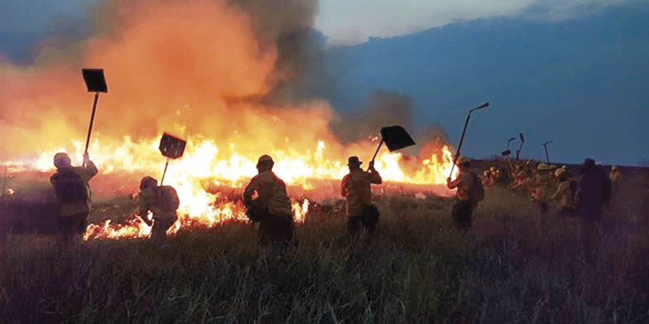 Solo el 9% de los incendios se origina en tierras fiscales disponibles, mientras que el 25% ocurre en tierras fiscales no disponibles, como parques nacionales o áreas protegidas. | Foto: Archivo