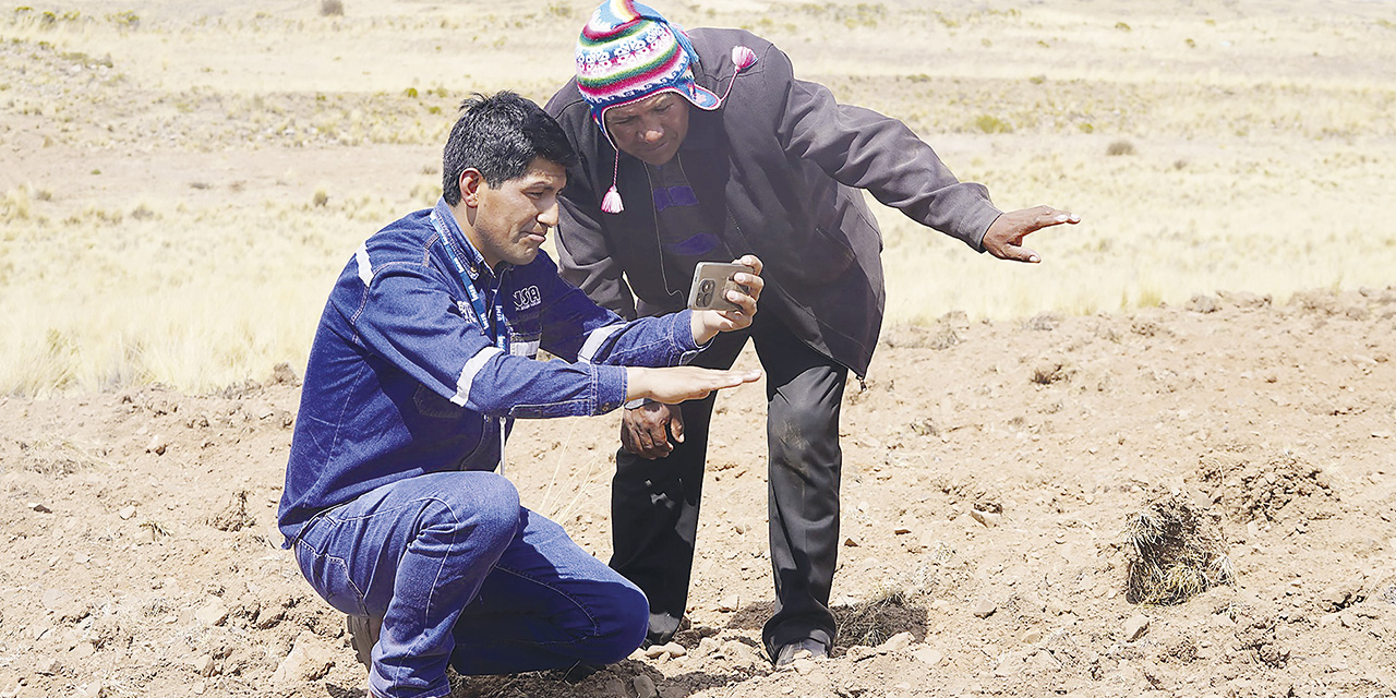 Los técnicos del INSA inspeccionan los cultivos para beneficiar a los productores.  | Foto: Presidencia