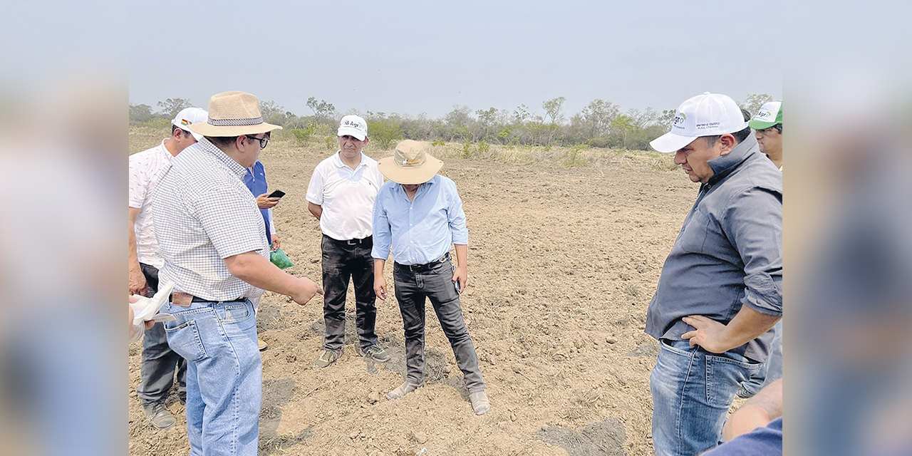 Los cultivos de la estatal B-Agro durante la inspección. 