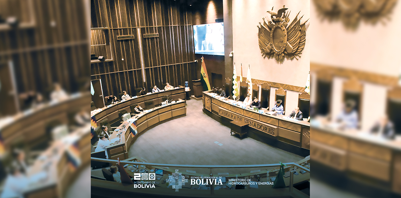 La sesión de ayer en el Senado. Foto: MHE