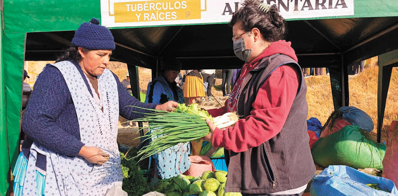 Comercialización de hortalizas en una feria Del Campo a la Olla. Foto: MDRYT