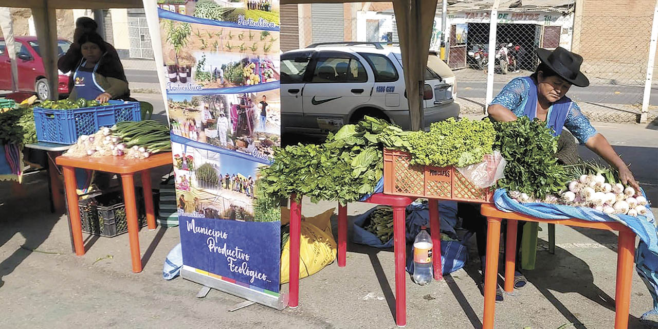 La feria busca ofrecer precios más competitivos en los alimentos.  | Foto: Archivo