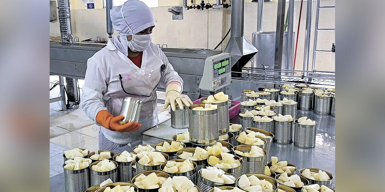 Con los créditos SIBOLIVIA, las unidades productivas incrementan el volumen de su producción.  | Foto: Archivo.