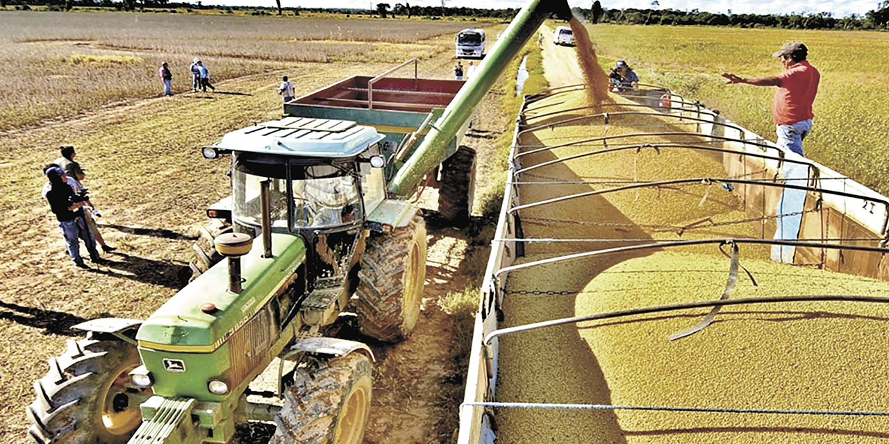 La soya HB4 está diseñada para resistir el impacto de la sequía y algunos herbicidas.   | Foto: Archivo.