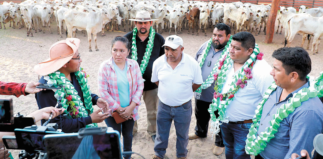 Parte de la entrega que benefició a las familias ganaderas de Yacuiba. Foto: MDryT