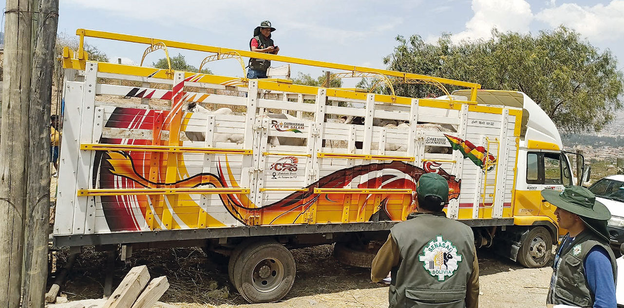 Un control del Senasag en el trasladado de ganado en pie. Foto: Senasag