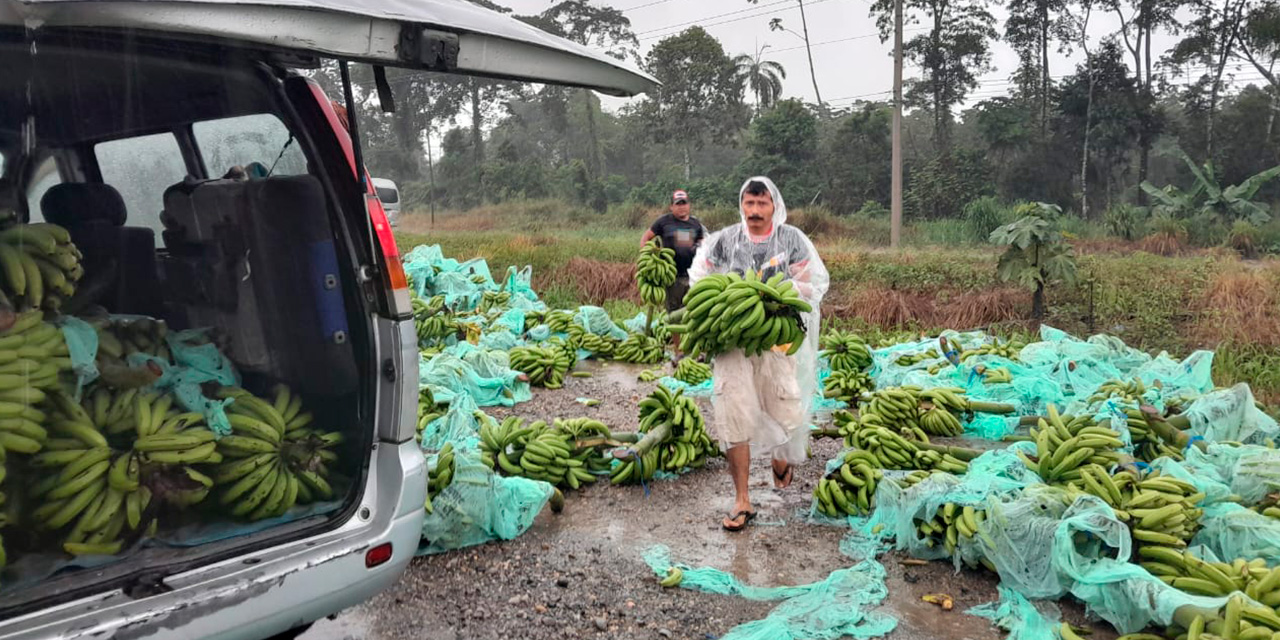 La fruta sobre la carretera. Foto: TITO GONZÁLES