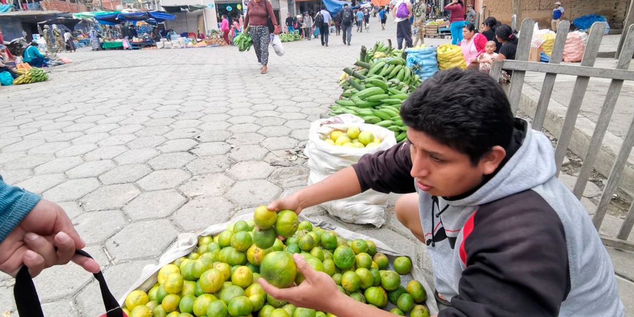 Los productores ofrecerán alimentos sin intermediarios en Caranavi. Foto: Archivo