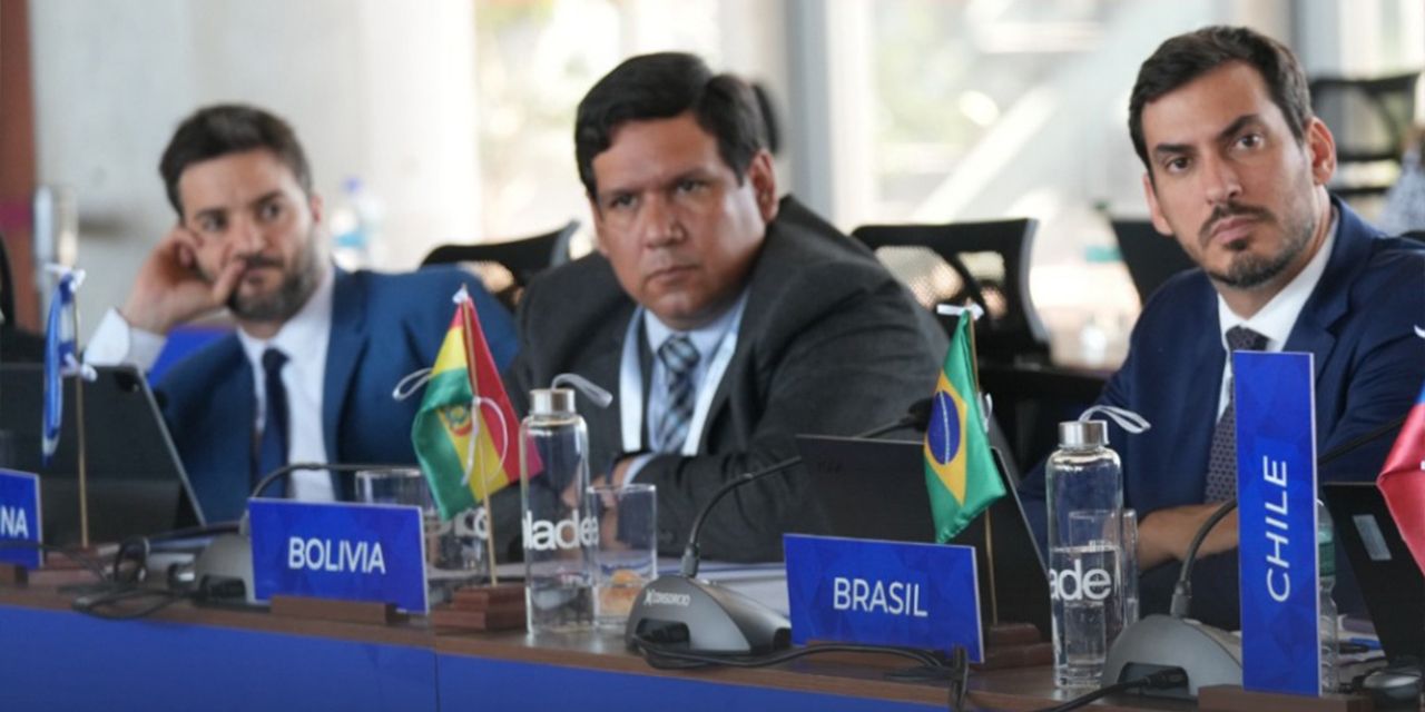 El viceministro Ronald Veizaga (der.) en la reunión de la Olade. Foto: MHE