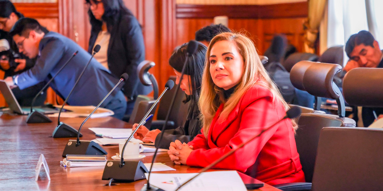 La presidenta de la Aduana Nacional, Karina Serrudo, en la XVI Reunión del Comité de Fronteras e Integración Bolivia-Chile. Foto: Aduana Nacional