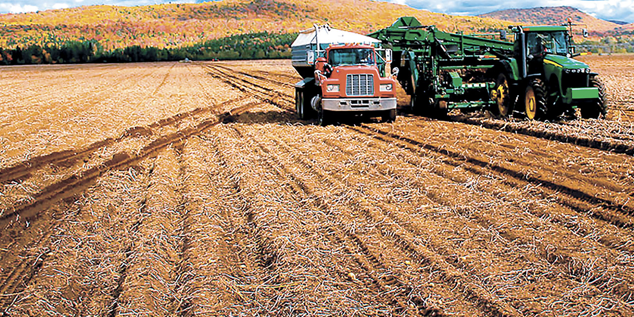 Maquinaria pesada en labores de cosecha de tierras productivas.