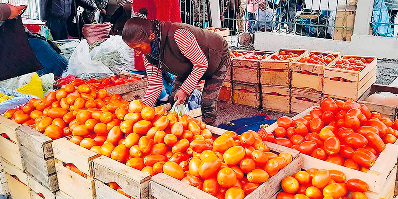 EL tomate era escaso en muchos centros de abasto y con las medidas asumidas por el Gobierno, los precios volvieron a la normalidad. Foto: ARCHIVO