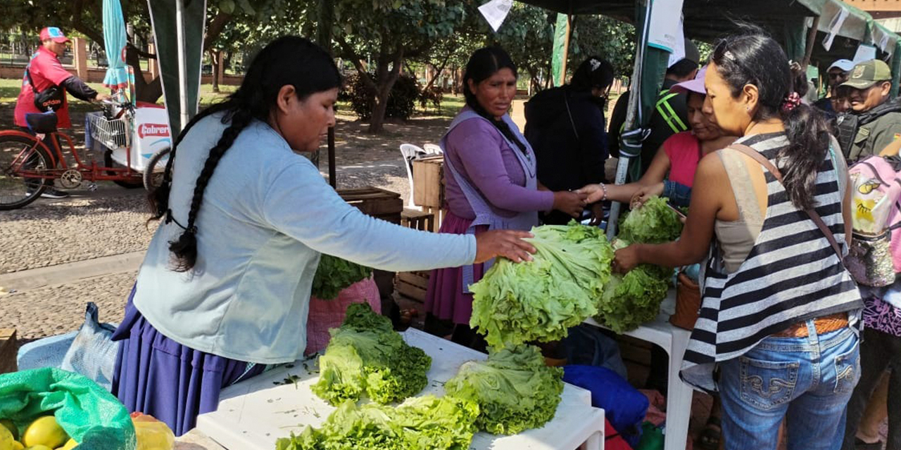 La feria Del Campo a la Olla llegará hoy hasta la ciudad de Cochabamba Foto: Archivo