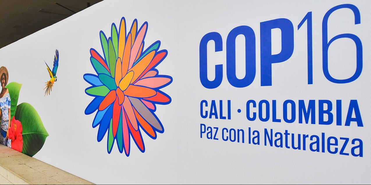 COP16 en Cali, Colombia. Foto RT