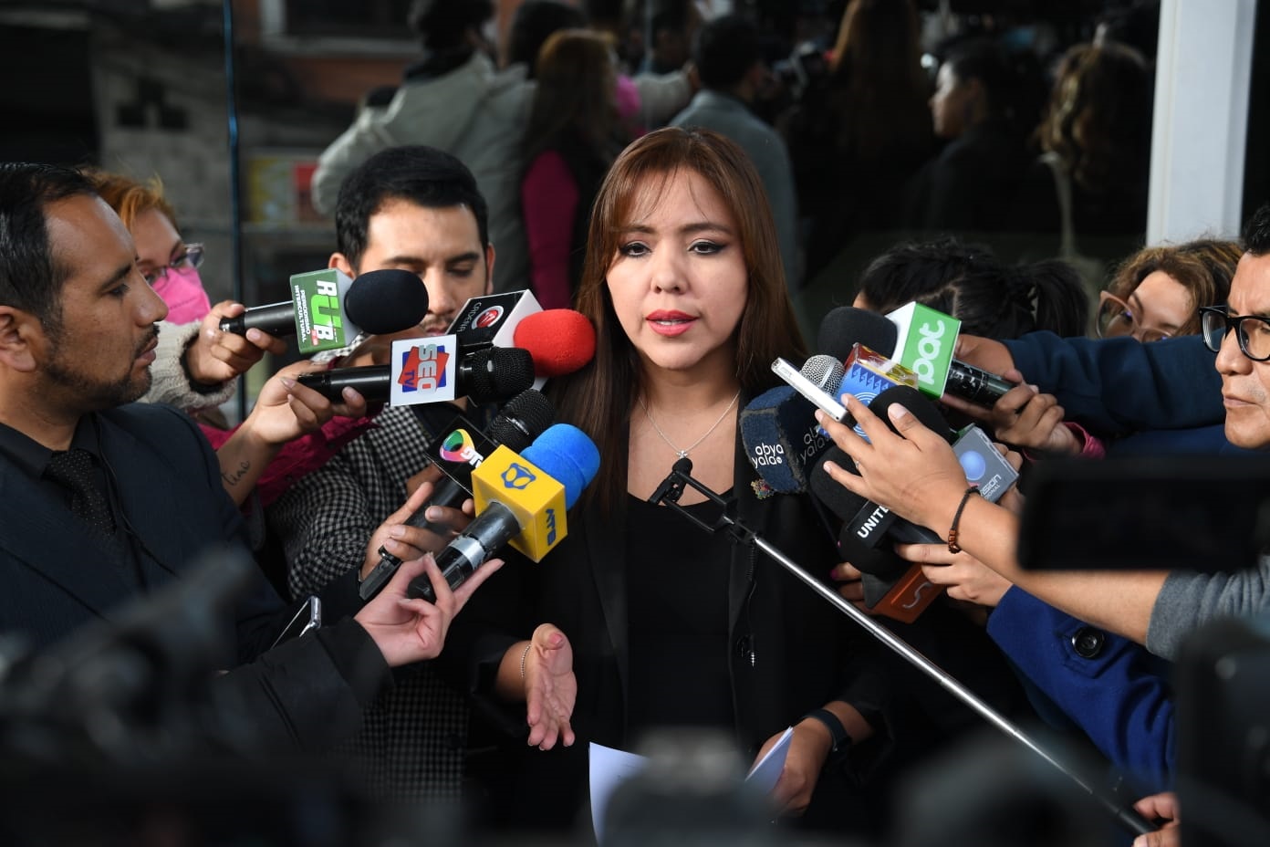 La viceministra de Comunicación, Gabriela Alcón, en rueda de prensa. (Foto: Gonzalo Jallasi)