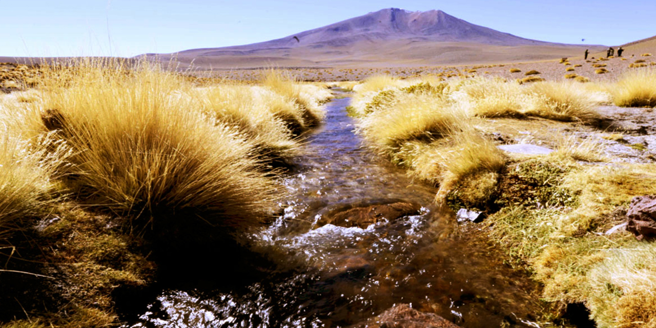 El Silala es un manantial; sin embargo, estudios encargados por Bolivia en la causa contra Chile dieron con que también es un curso de agua transfronterizo