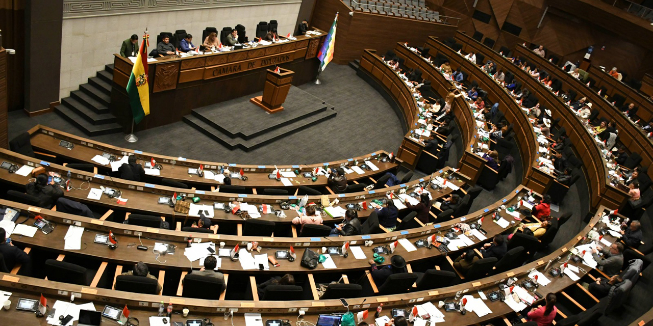 La sesión del pleno camaral duró casi tres horas antes de aprobar el nuevo reglamento y convocatoria. (Foto: APG)