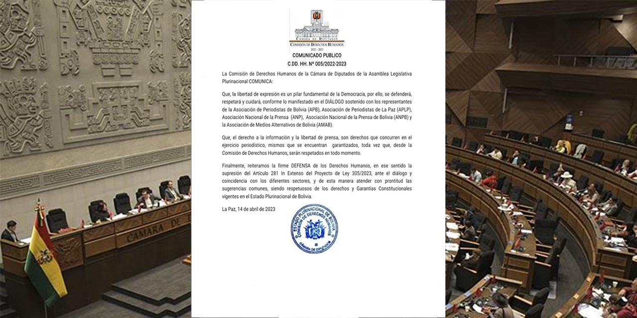 Comisión de DDHH de Diputados suprime artículo 281 del proyecto de Ley 305