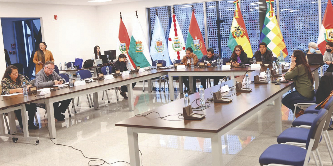 La Comisión Mixta de Constitución sesionó ayer. (Foto: Senado)