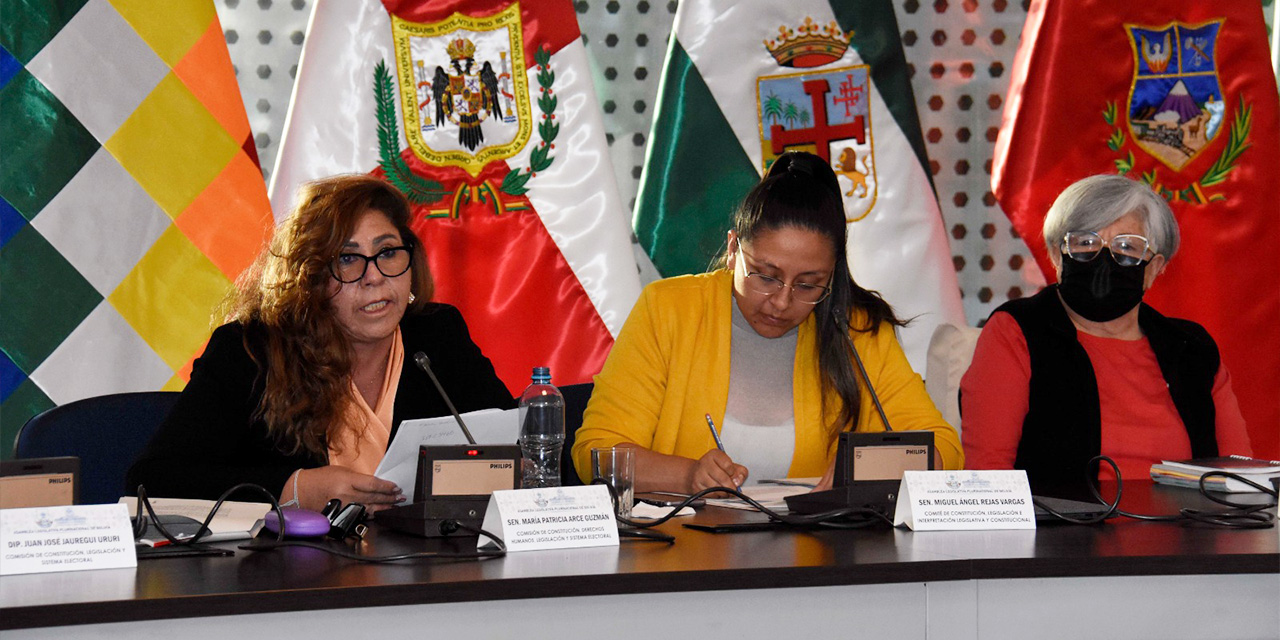 Integrantes de la Comisión Mixta de Constitución. (Foto: Gonzalo Jallasi)