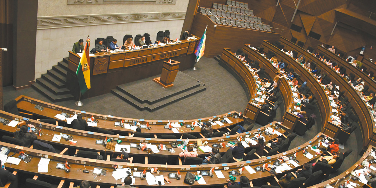 La Asamblea Legislativa Plurinacional deberá debatir el auto del TCP. (Foto: Diputados)